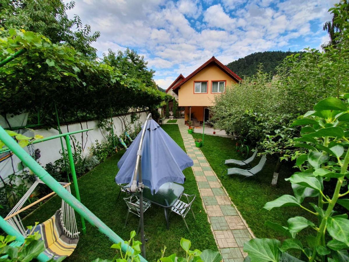Hotel Casa Lucky Rîşnov Exterior foto